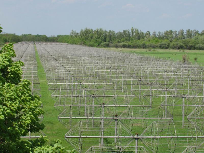 Антенны УТР-2 Антенны УТР-2